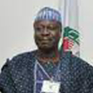 Ambassador Babatunde Nurudeen